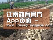 种植基地八