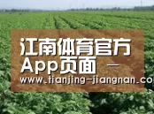 种植基地五(图1)