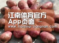 产品展示标题5(图1)